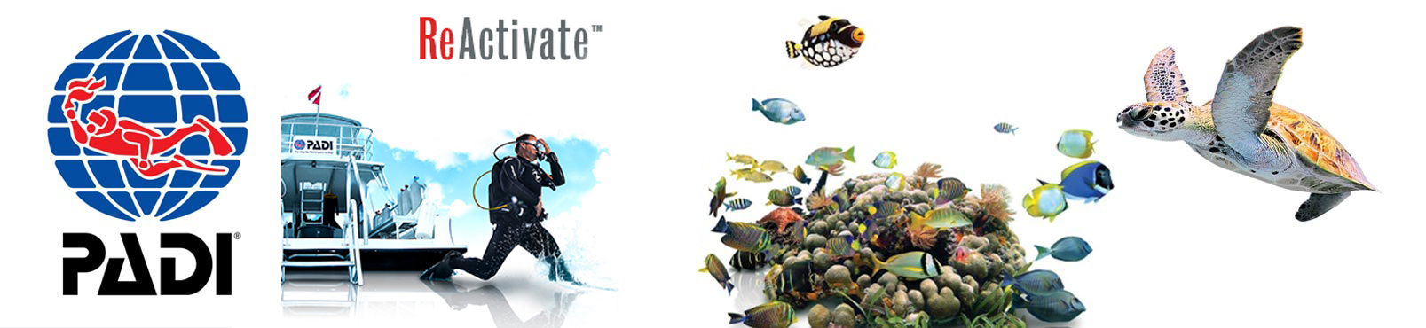 PADI ReActivate™