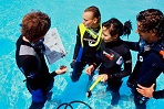 Curso buceo PADI