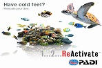 Curso buceo PADI