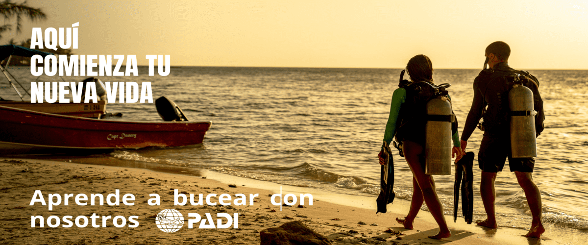 Vive la pasión por el buceo. Entra en un nuevo mundo