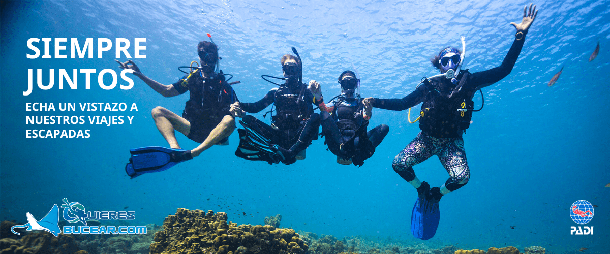 Viajes de buceo nacionales e internacionales con QuieresBucear.com