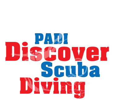 Bautizo de Buceo