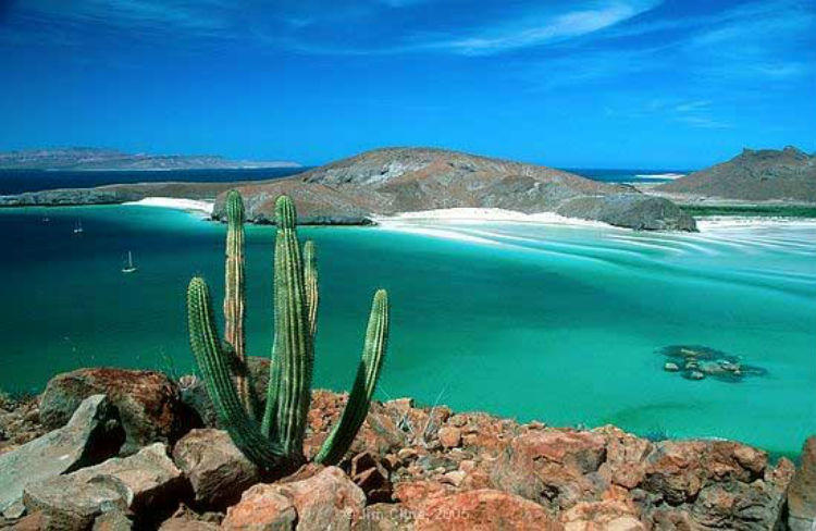 Buceo en Baja California 4